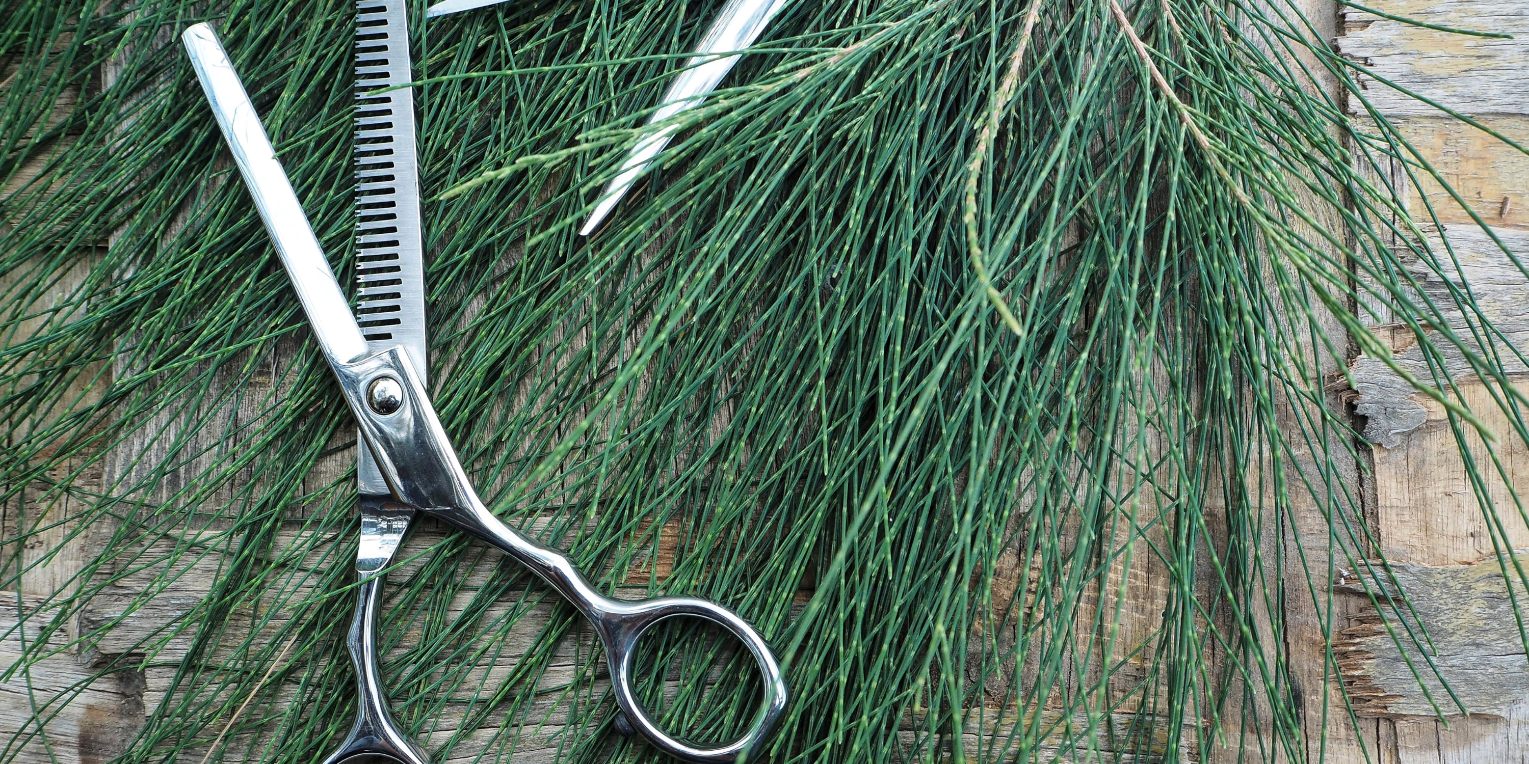 Hair Shear Ergonomics and Repetitive Strain Injury Prevention
