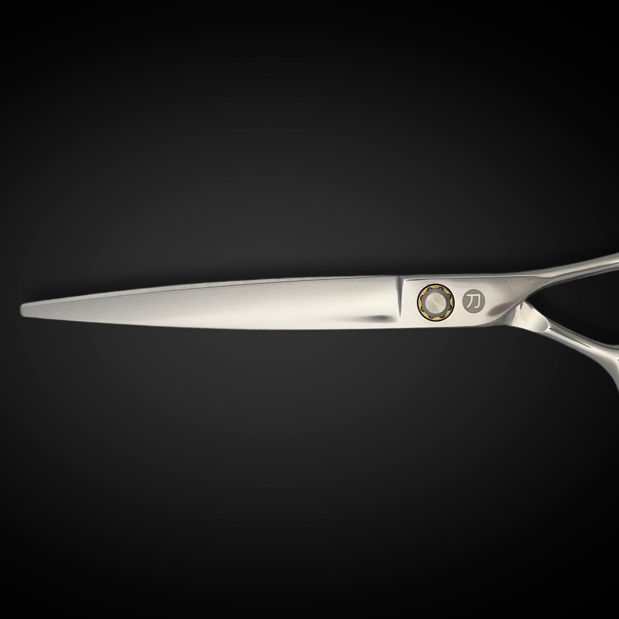 Hair Cutting Scissors by Saki Shears (Special Promo)