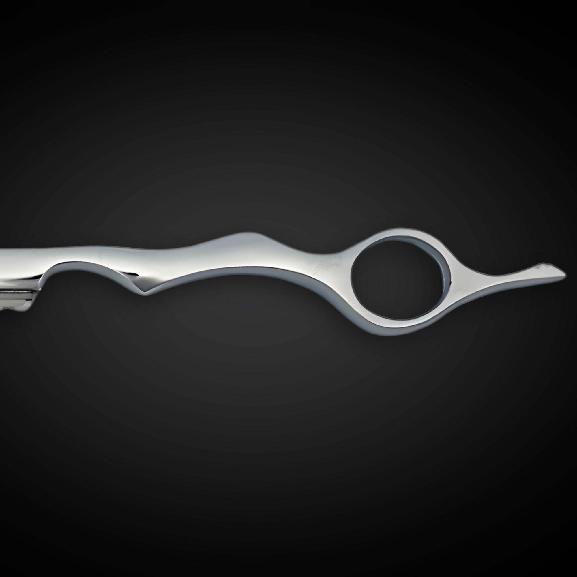 Precision Hair Razor from Saki Shears