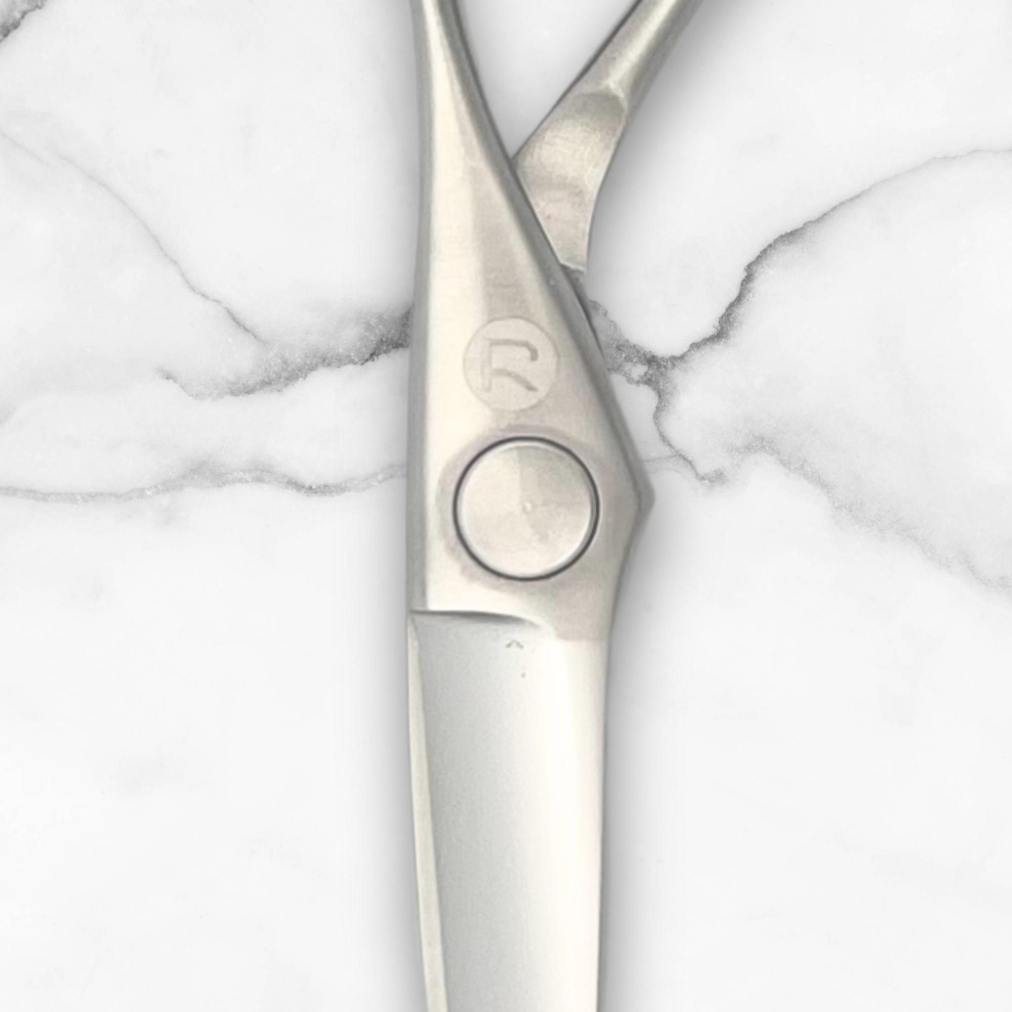 6" Crane Style Hair Cutting Scissors from Saki