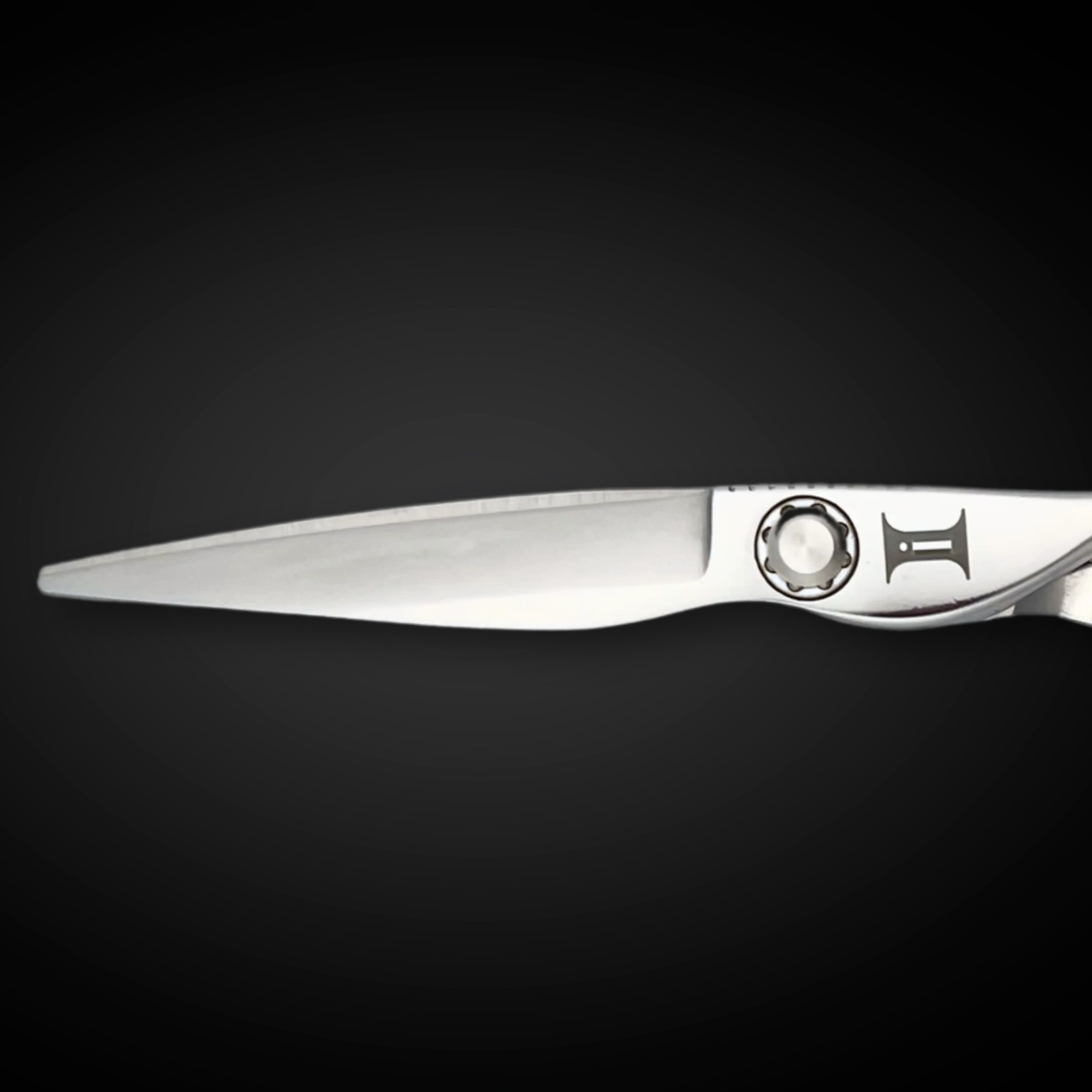 6" Hair Cutting Shears - Ascent - Open Box