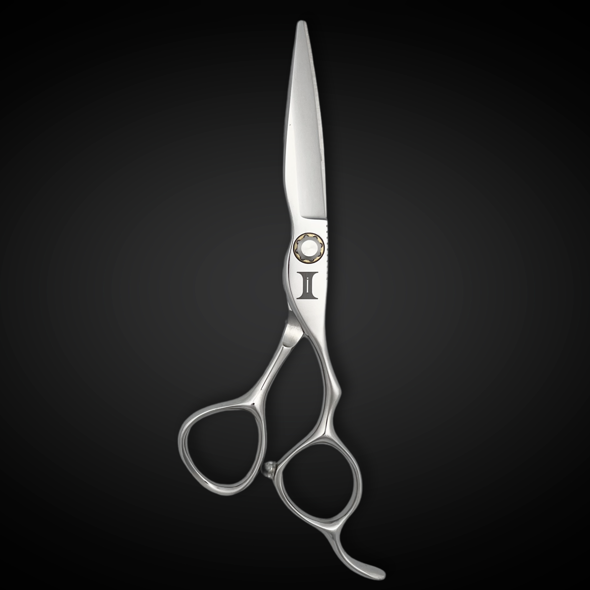 6" Hair Cutting Shears - Ascent