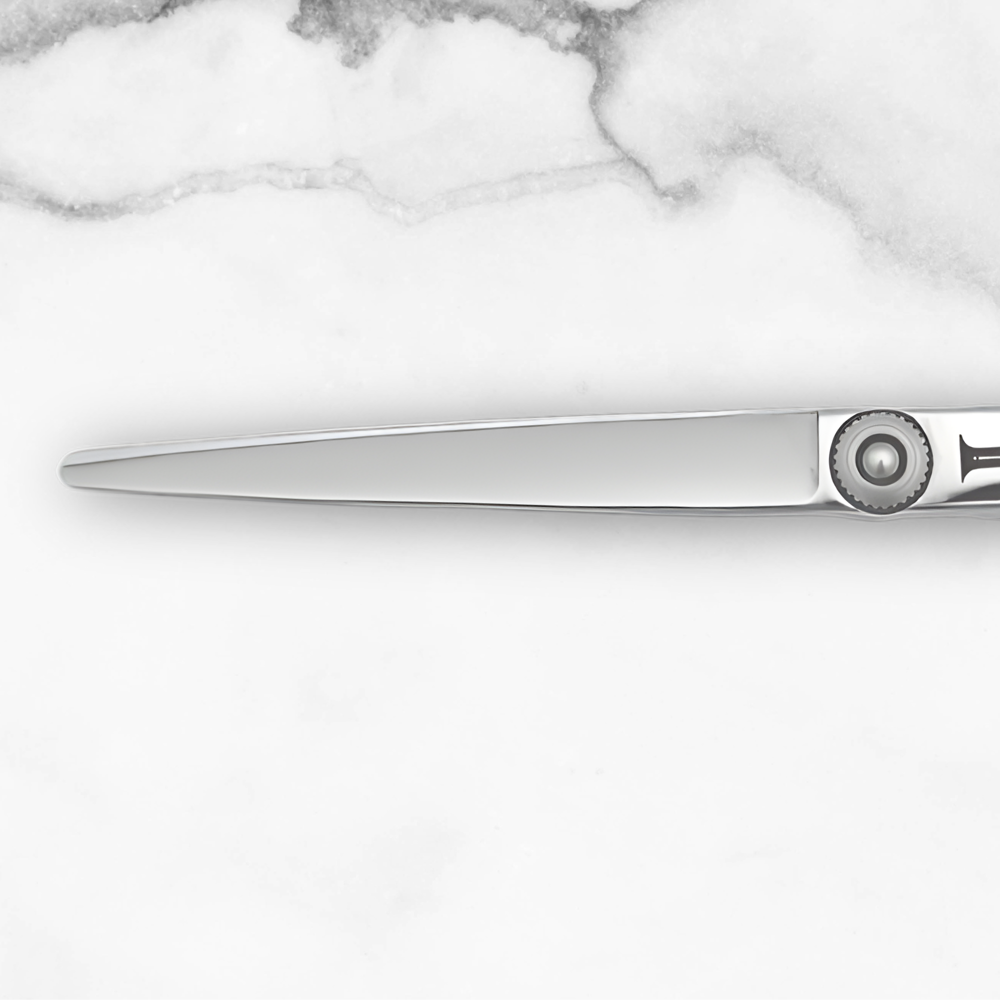 Made in Japan Hair Cutting Shears Intelio Steel Skinny