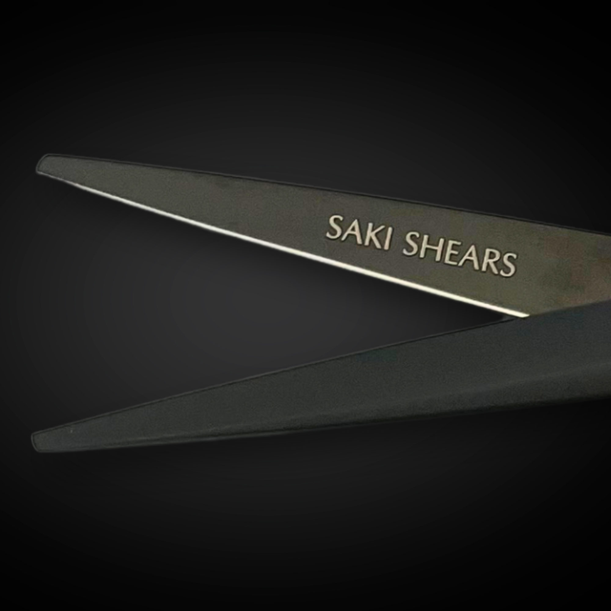 Saki Chīsai Hair Cutting Scissors