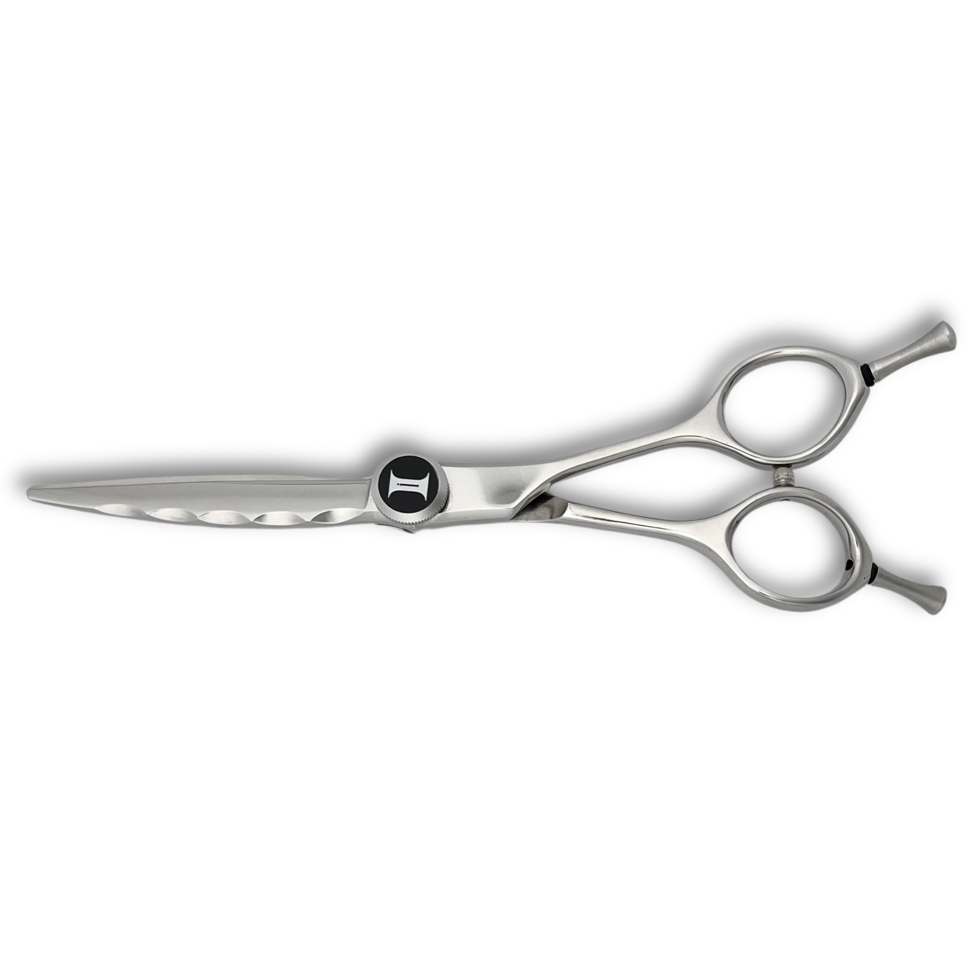 6" Curved Blade Hair Cutting Shears - Horizon