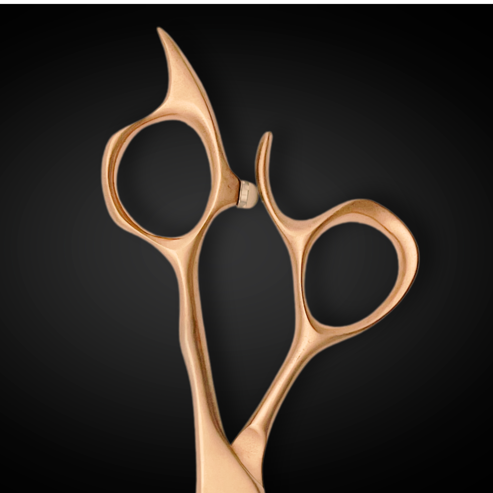 Gold Hair Cutting Shears/Scissors