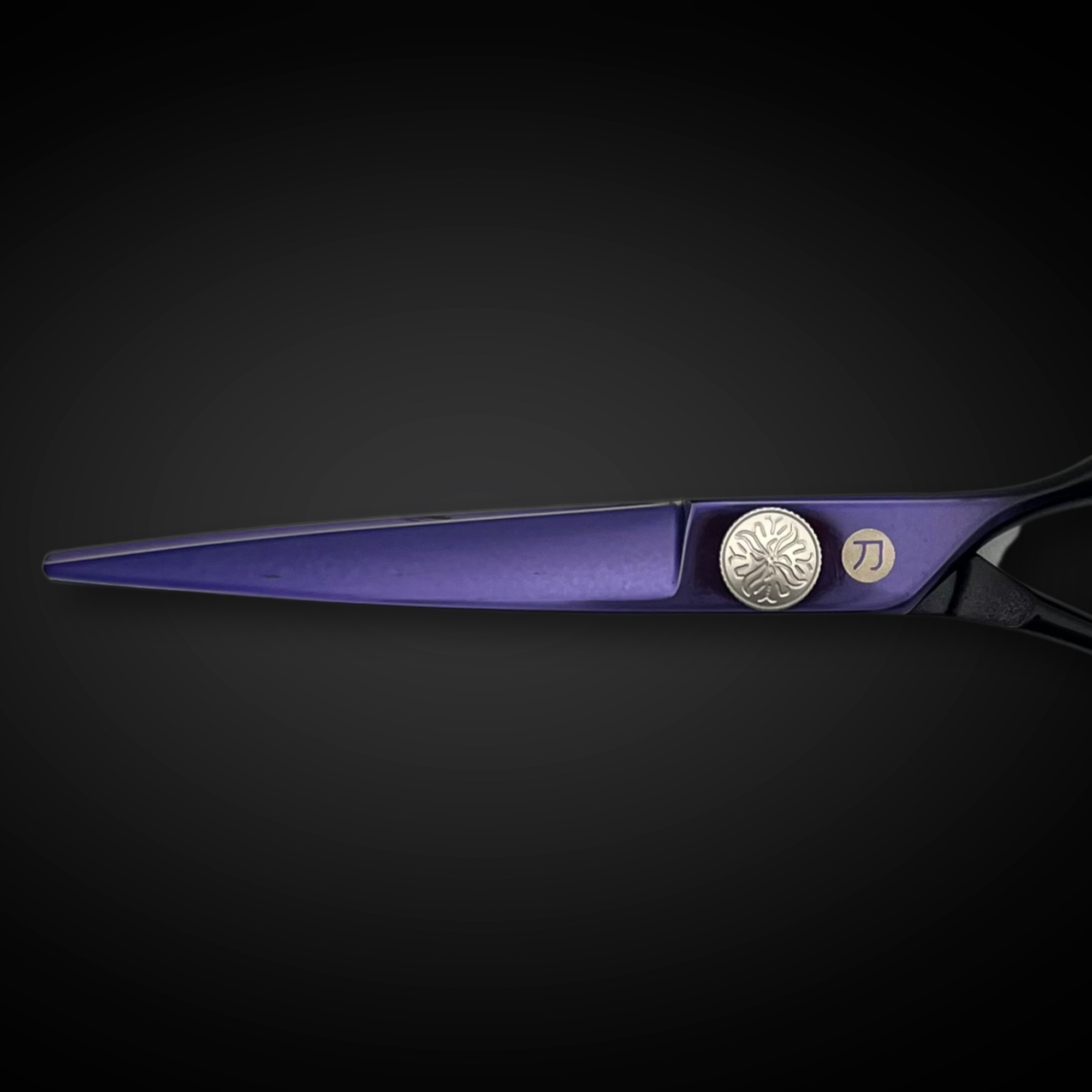 Purple Saki Nebula 6" Hair Cutting Shears/Scissors