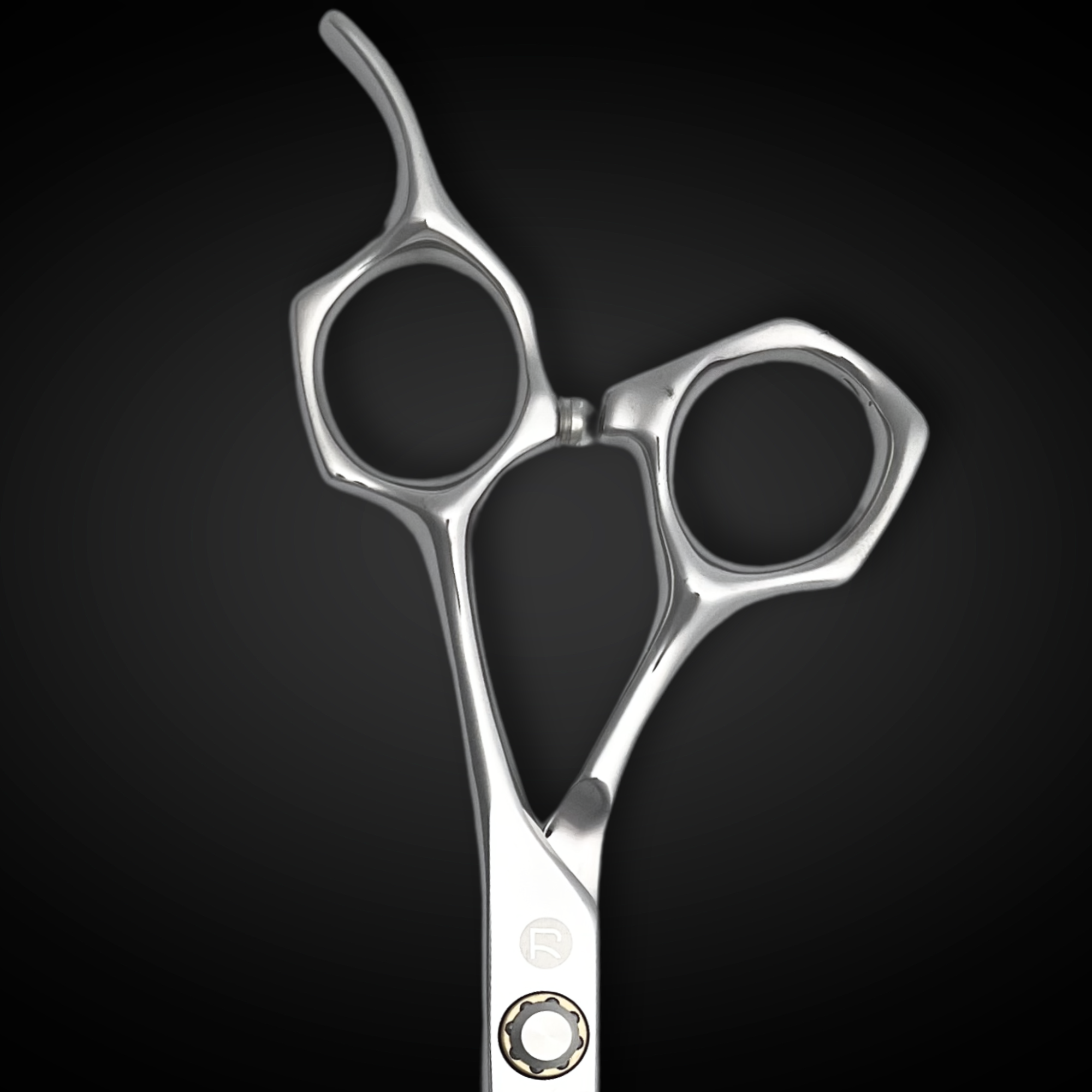 Saki Shears Always Sharp Subscription