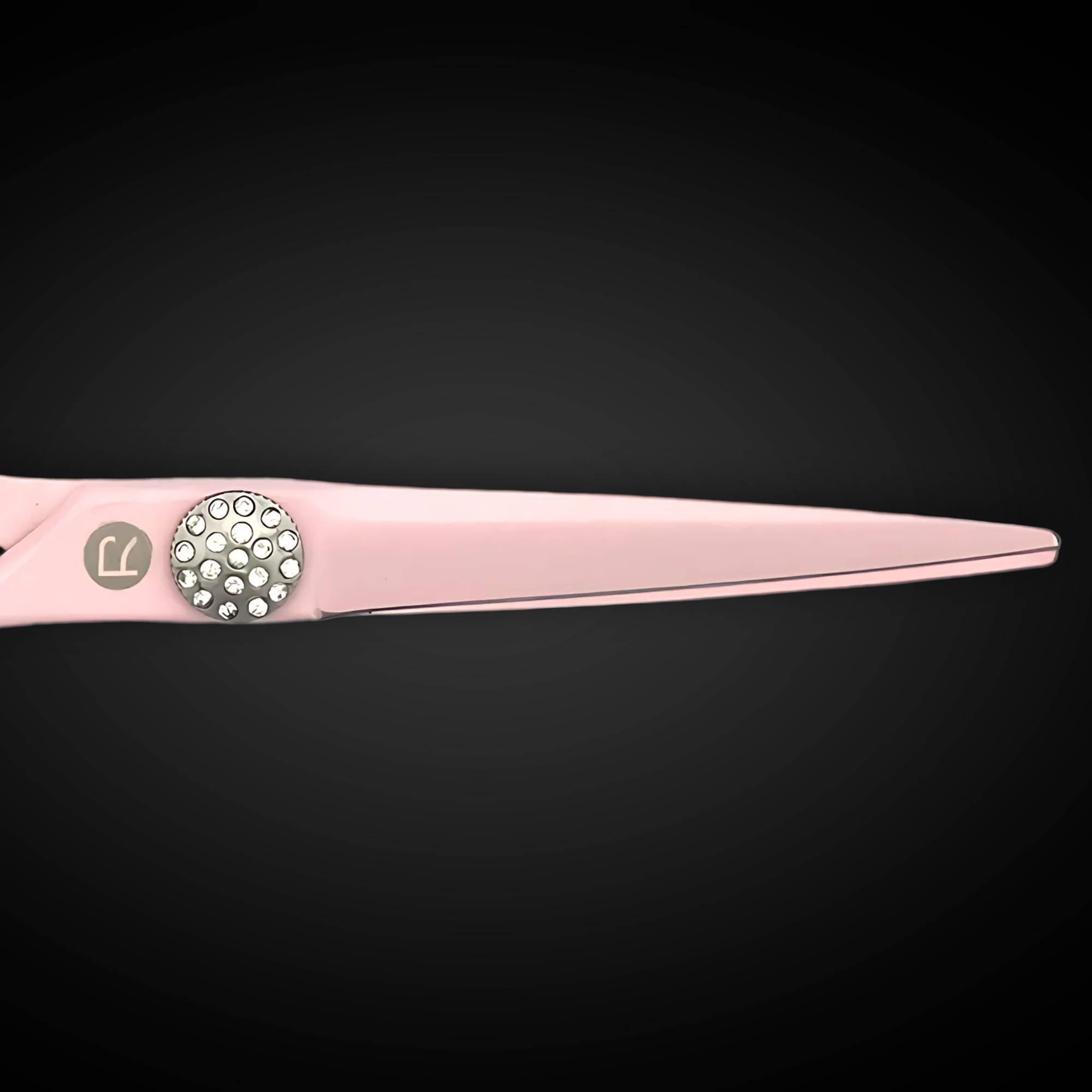 Swivel Precision Pink Hair Shears Set 5.5”